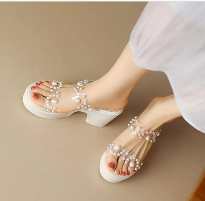 Women's Transparent PVC High-heel Sandal 2024New Platform Chunky 9CM Slippers Thick-soled Open Toe Beach Lides Summer Women Shoe